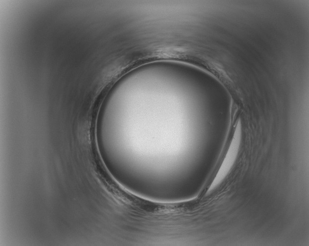 X0000059850299200511041846