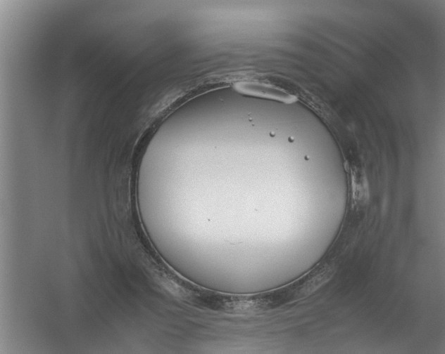 X0000059850301200511041846