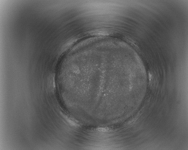 X0000059850302200511041846