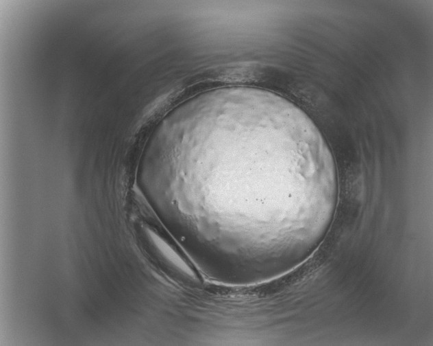 X0000059850303200511041846