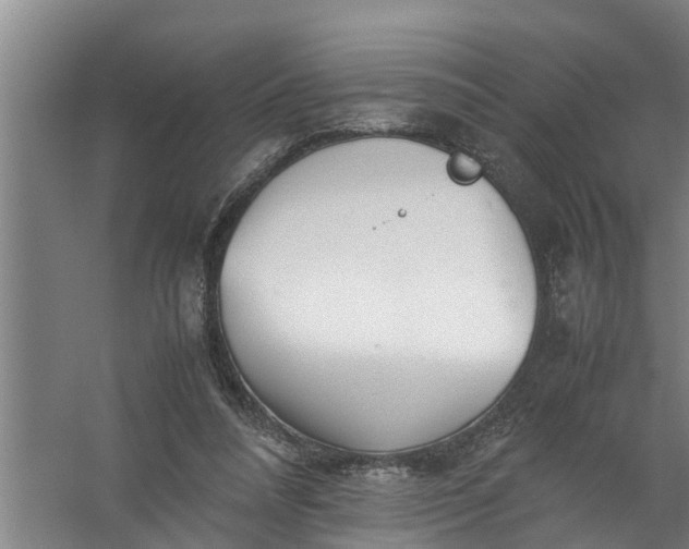 X0000059850304200511041846