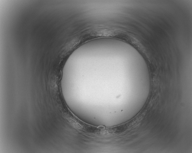 X0000059850305200511041846