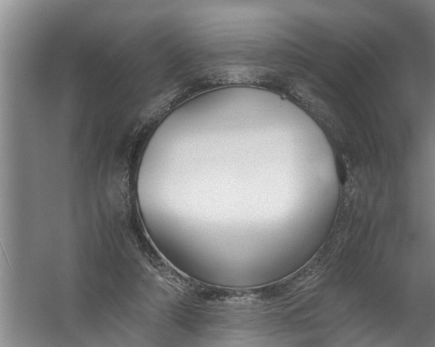 X0000059850306200511041846