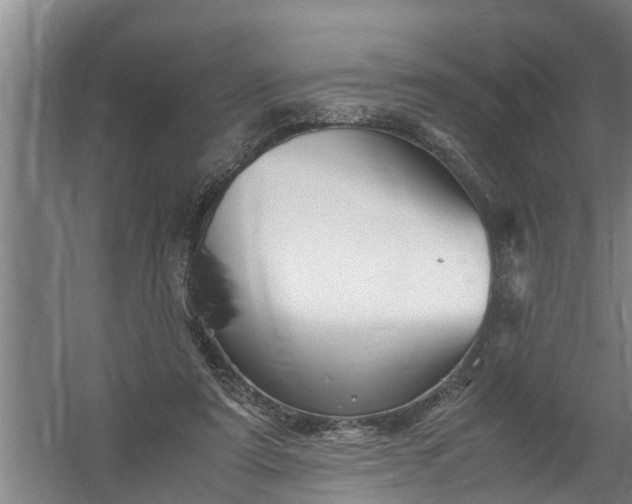 X0000059850307200511041846