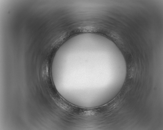 X0000059850310200511041846