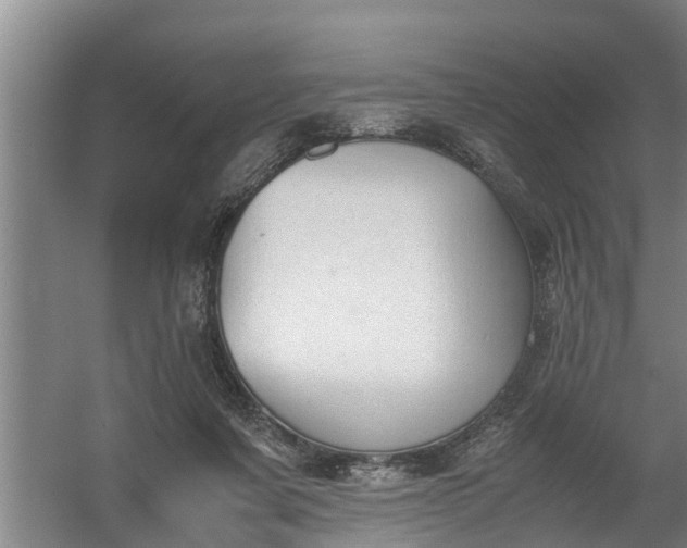 X0000059850311200511041846