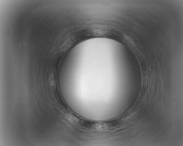 X0000059850317200511041846