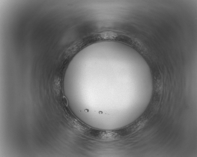 X0000059850321200511041846