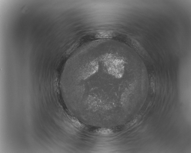 X0000059850322200511041846