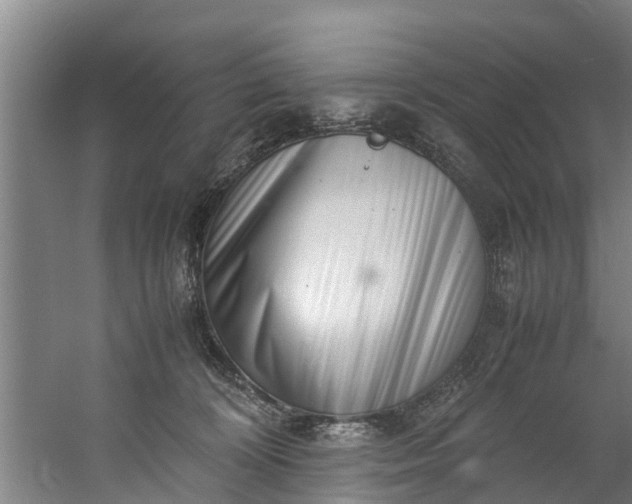 X0000059850324200511041846