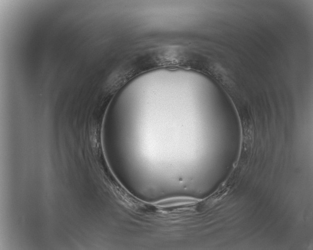 X0000059850331200511041846