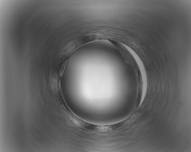 X0000059850333200511041846