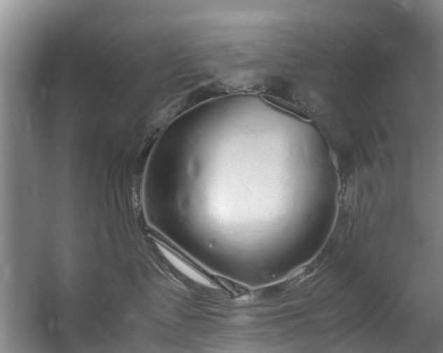 X0000059850335200511041846