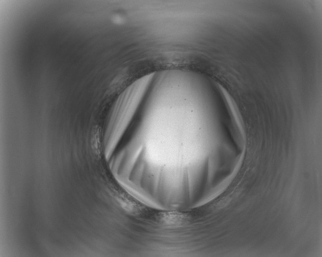 X0000059850336200511041846