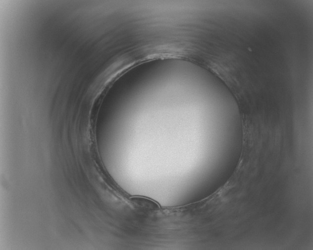 X0000059850338200511041845