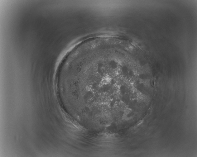 X0000059850343200511041845