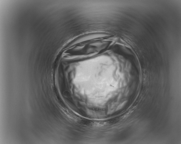 X0000059850346200511041845