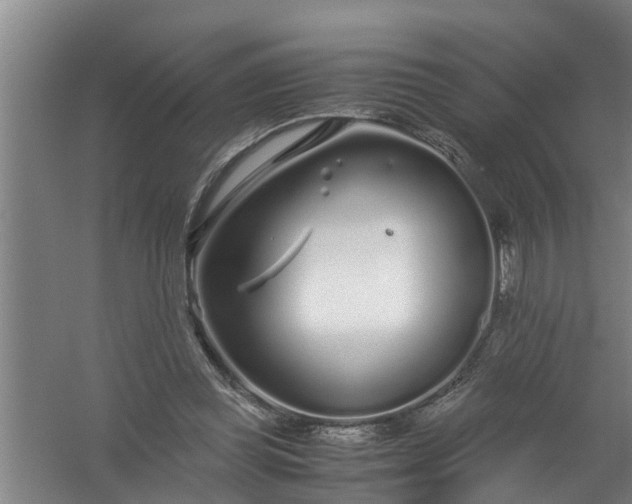 X0000059850349200511041845