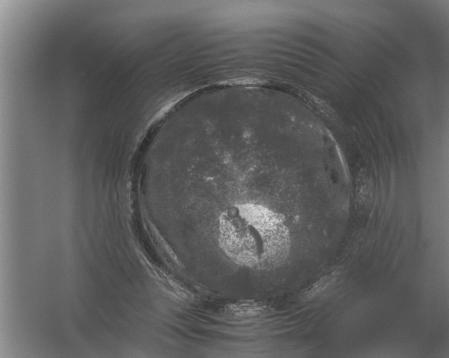 X0000059850351200511041845