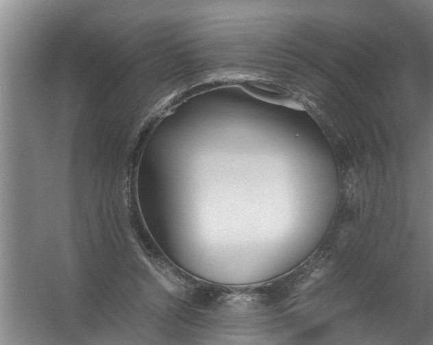 X0000059850352200511041845