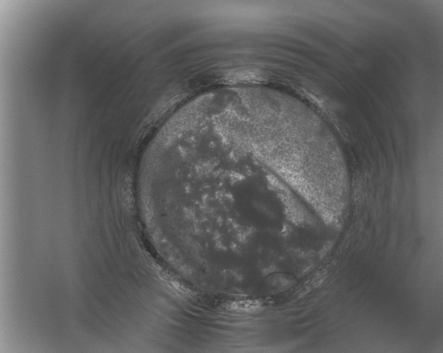 X0000059850353200511041845