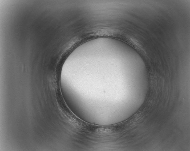 X0000059850354200511041845