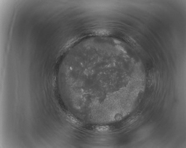 X0000059850355200511041845