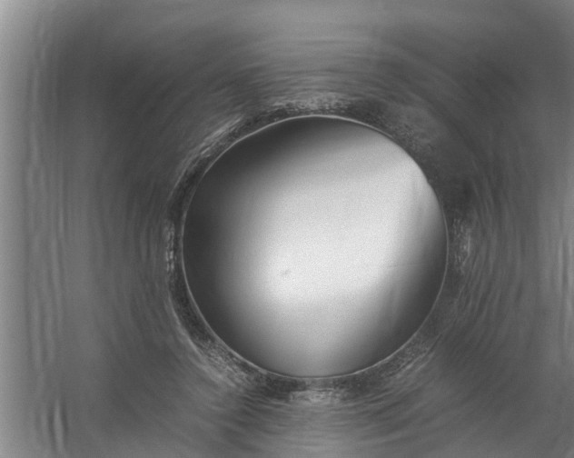 X0000059850356200511041845