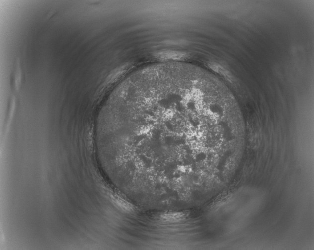 X0000059850357200511041845