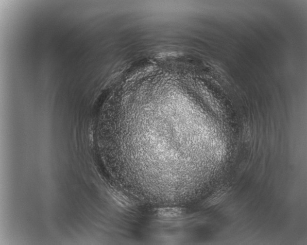 X0000059850363200511041845