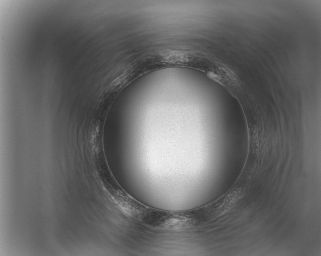 X0000059850364200511041845