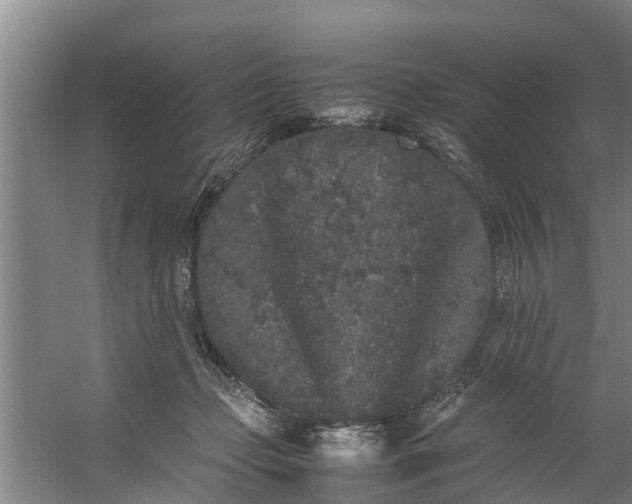 X0000059850365200511041845