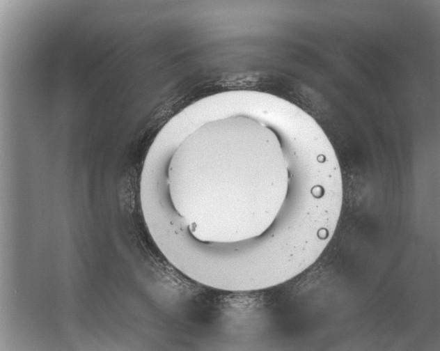 X0000059850370200511041845