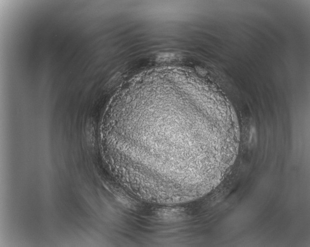 X0000059850375200511041845