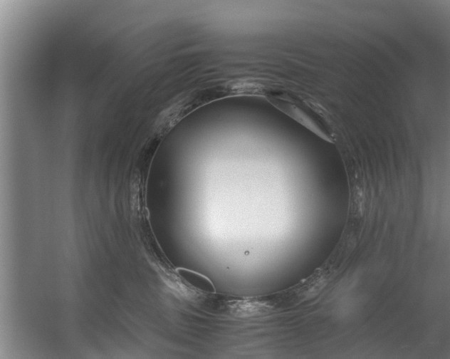 X0000059850379200511041846