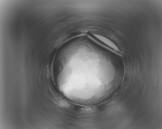 X0000059850381200511041846