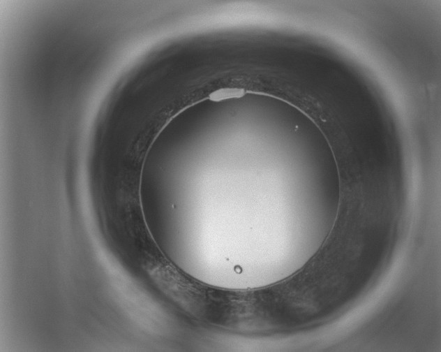 X0000059850382200511041846