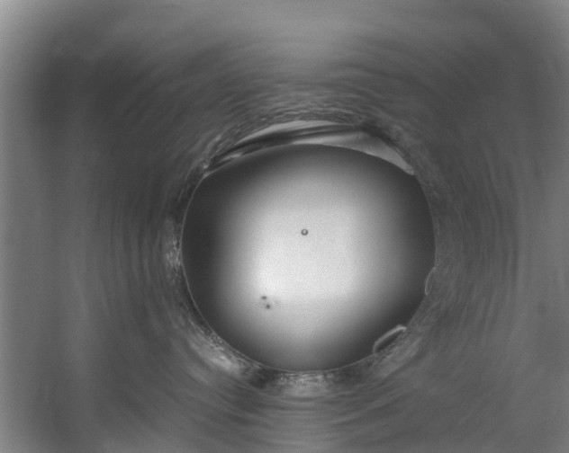 X0000059850384200511041846