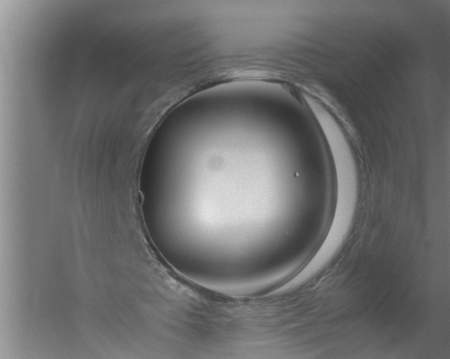 X0000059850385200511041845