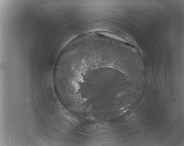 X0000059850386200511041845