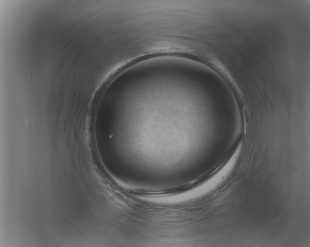 X0000059850387200511041845