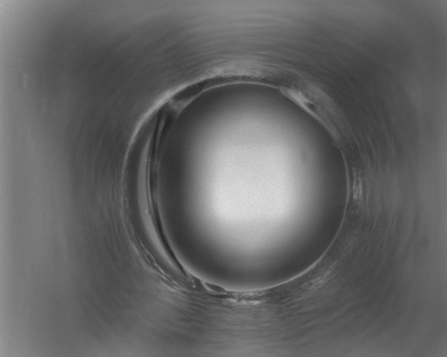 X0000059850388200511041845