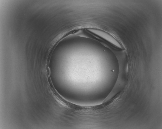 X0000059850389200511041845