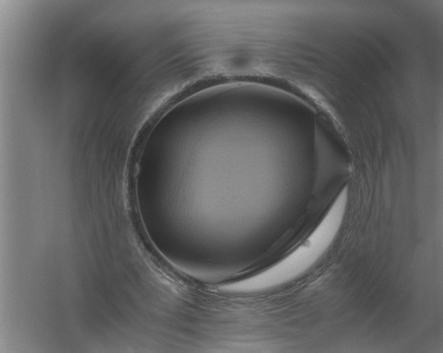 X0000059850391200511041845