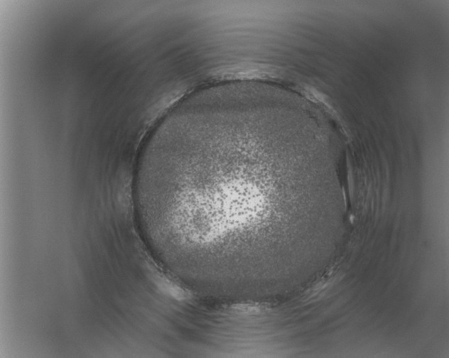 X0000059850394200511041845