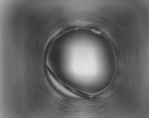 X0000059850399200511041845