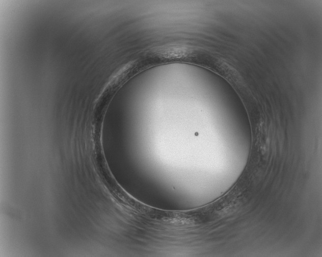 X0000059850400200511041845