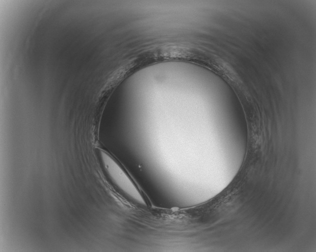 X0000059850401200511041845