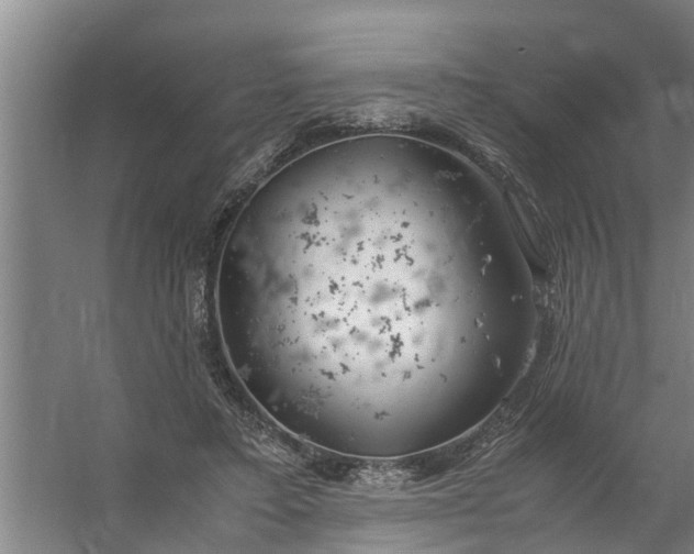 X0000059850403200511041845