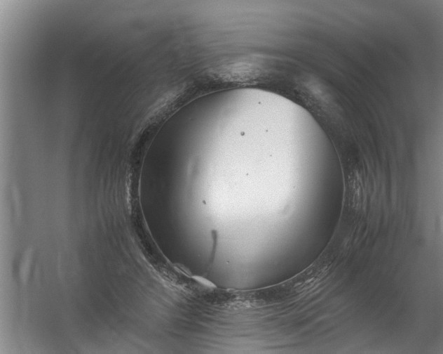 X0000059850404200511041844